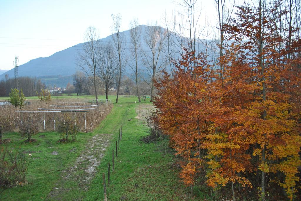 Agriturismo Il Girasole Фельтре Екстер'єр фото