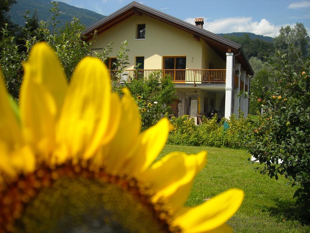 Agriturismo Il Girasole Фельтре Екстер'єр фото